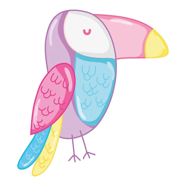 beauty toucan tropical bird animal vector illustration