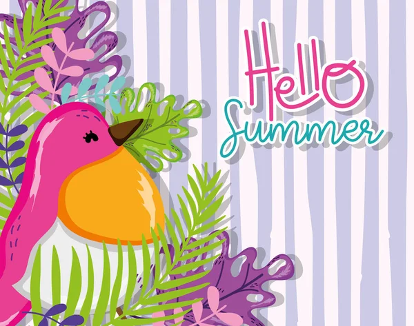 Hello Summer Card Exotic Bird Cartoon Vector Illustration Graphic Design — Stock Vector