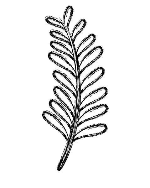 グランジのシュロの葉熱帯自然植物のベクトル図 — ストックベクタ