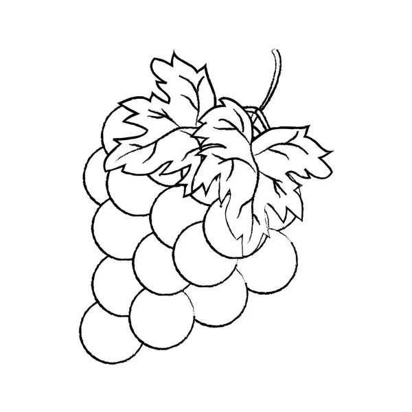 Grunge Delicioso Uva Fruta Orgánica Sabroso Vector Ilustración — Archivo Imágenes Vectoriales