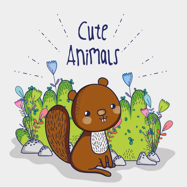 귀여운 다람쥐 일러스트 그래픽 디자인 — 스톡 벡터
