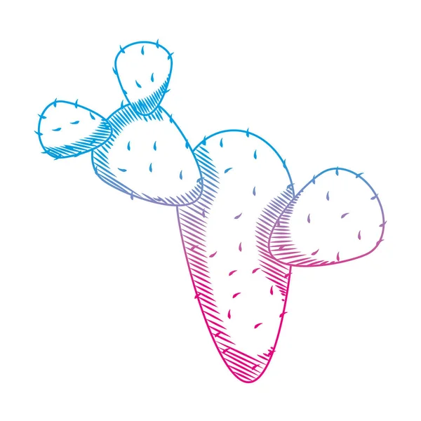 Linea Degradata Ecologia Cactus Pianta Natura Deserto Vettore Illustrazione — Vettoriale Stock