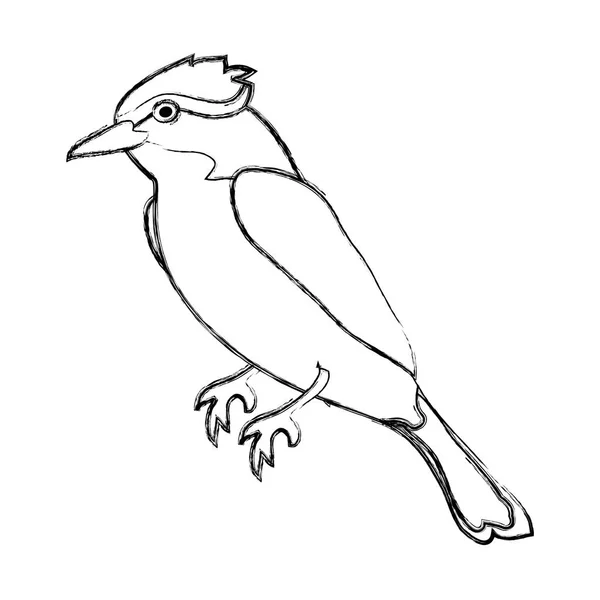 Grunge lucu burung kardinal utara hewan - Stok Vektor