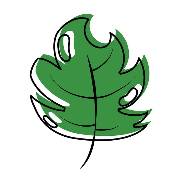 色キャベツ葉熱帯自然植物ベクトル図を移動 — ストックベクタ