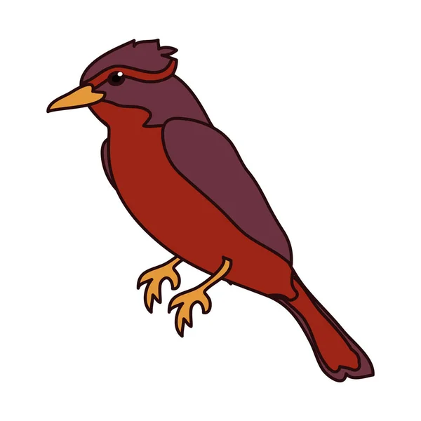 可爱的北部红衣主教鸟动物向量例证 — 图库矢量图片