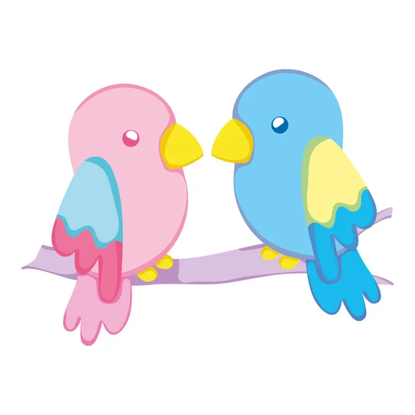 Schoonheid Papegaai Paar Vogel Dierlijke Vectorillustratie — Stockvector