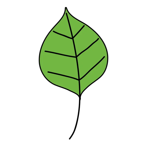 Barva Pěkná Příroda Leaf Styl Rostlin Vektorové Ilustrace — Stockový vektor