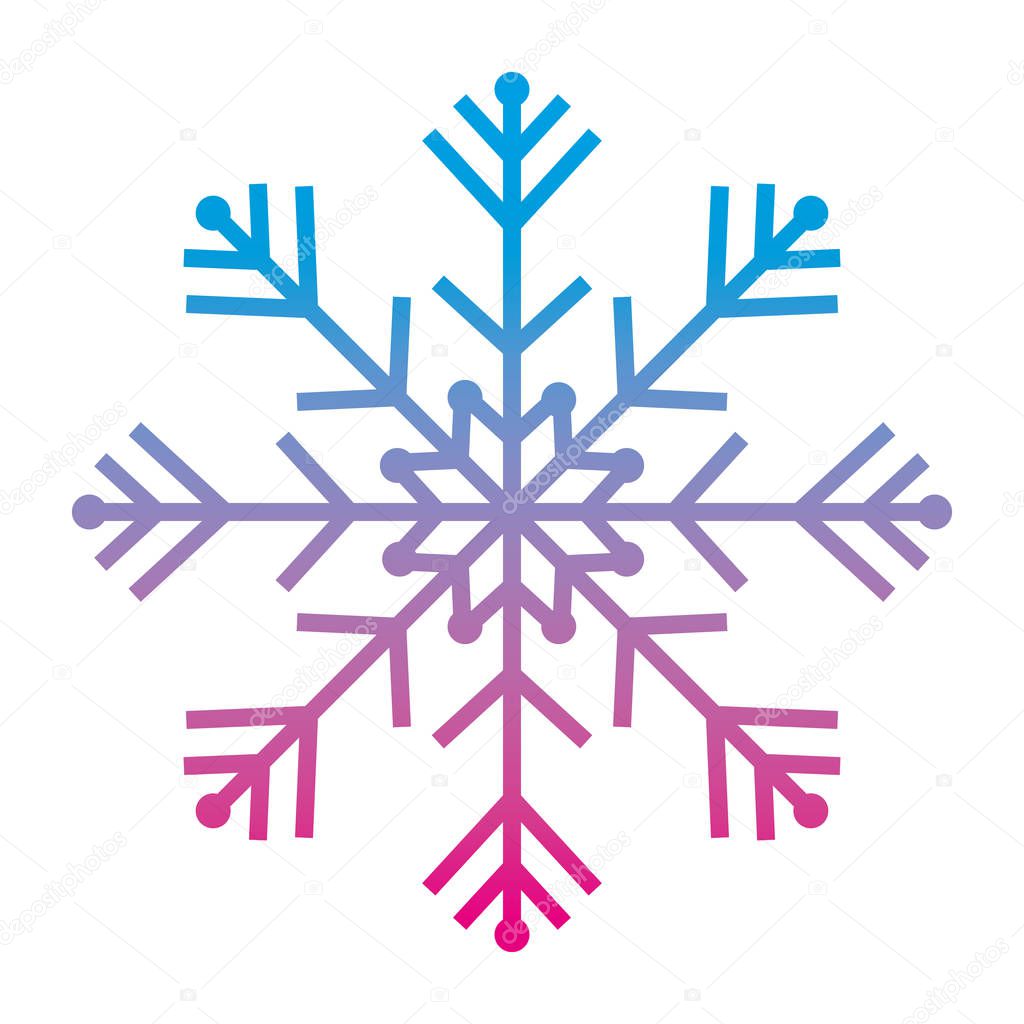 degraded line natural snowflake design in winter season vector illustration
