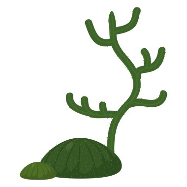 Doğa kaktüs çöl bitkileri simge vektör çizim