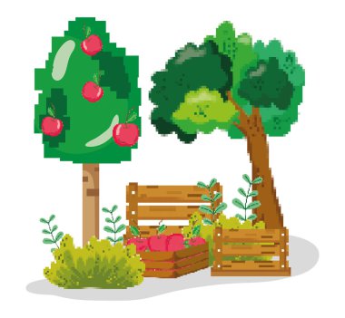 Çiftlik hasat ve ahşap kutular pixelated karikatürler vektör çizim grafik tasarım içinde elma