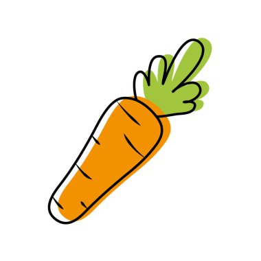 renk fesh sağlıklı havuç sebze gıda vektör çizim taşındı