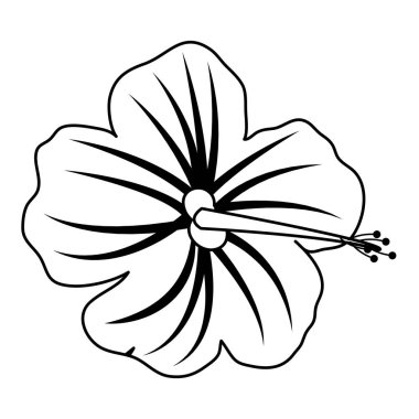 satır egzotik çiçek doğa ile güzel yaprakları illüstrasyon vektör