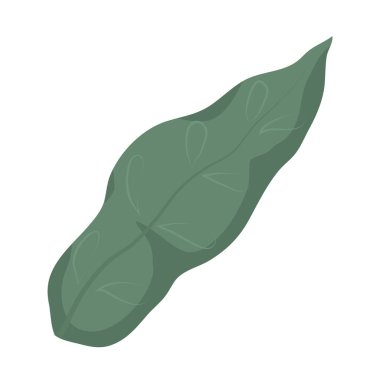 doğa hurma ağacı tasarlamak vektör yaprak