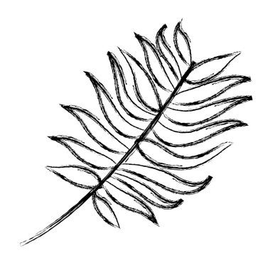 Grunge egzotik şube doğal yaprakları vektör çizim tasarım