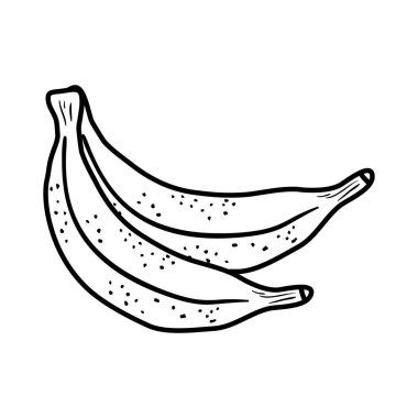 satır lezzetli Muz meyve organik vitamin vektör çizim