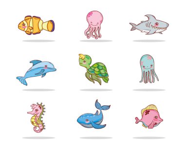 sualtı deniz hayvanları ekosistem vektör çizim grafik tasarım