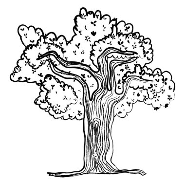 Grunge Doğa Ağaç dalları egzotik ile vektör çizim yaprak