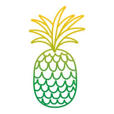 bozulmuş satır tropikal ananas meyve egzotik beslenme vektör çizim