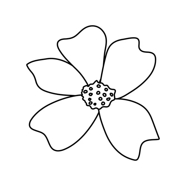 Линия Натуральный Красивый Цветок Лепестками Дизайн Векторной Иллюстрации — стоковый вектор