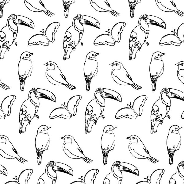 grunge toucan with butterfly and bird animals background vector illustration