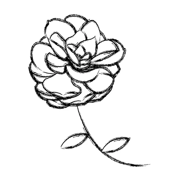 Grunge Wih Χαριτωμένο Λουλούδι Πέταλα Όμορφη Φύση Διανυσματικά Εικονογράφηση — Διανυσματικό Αρχείο