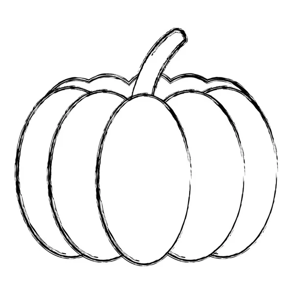 Grunge Citrouille Bio Naturel Légume Nourriture Vecteur Illustration — Image vectorielle