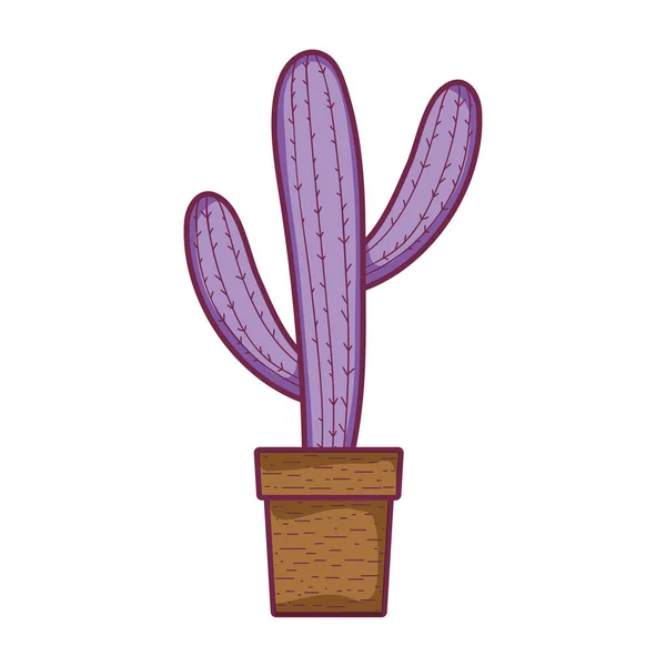 Planta Del Desierto Cactus Exótico Dentro Ilustración Vector Maceta — Vector de stock