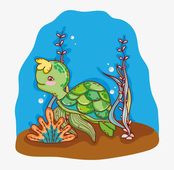 underwater sea animals ecosystem vector illustration graphic design