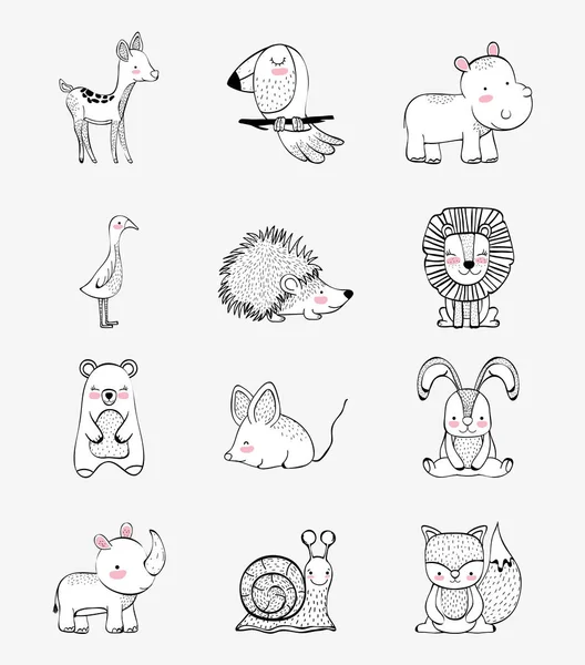 sevimli vahşi hayvanlar karakter vektör çizim ayarla