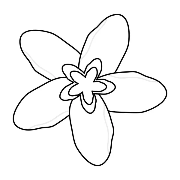 Ligne Belles Fleurs Naturelles Avec Beaux Pétales Illustration Vectorielle — Image vectorielle