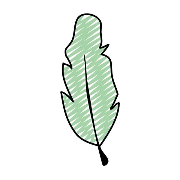 Doodle Nature Feuille Tropicale Palmier Vecteur Illustration — Image vectorielle