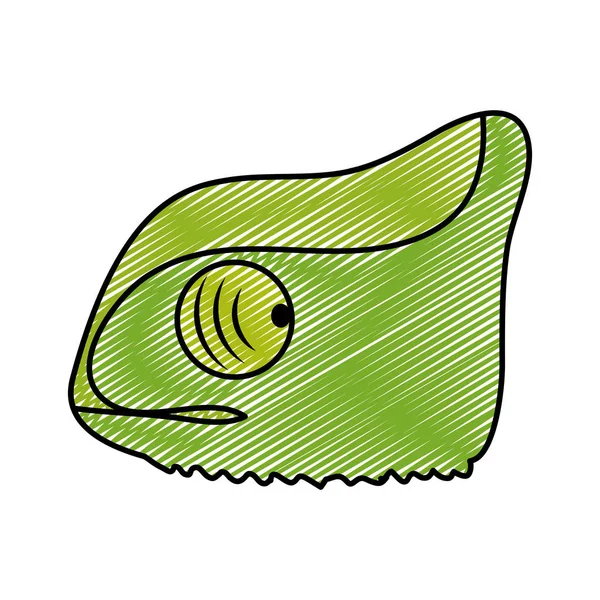 Doodle Exotic Chameleon Head Nature Animal Vector Illustration — Stock Vector