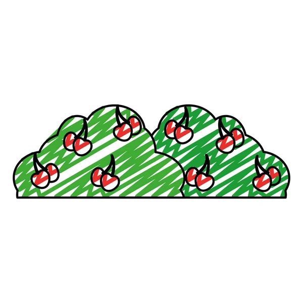 Plante Buisson Doodle Avec Illustration Vectorielle Fruits Délicieux Cherrys — Image vectorielle