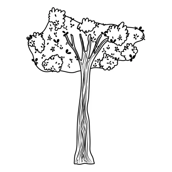 Rad Tropiska Träd Med Natur Grenar Blad Vektorillustration — Stock vektor