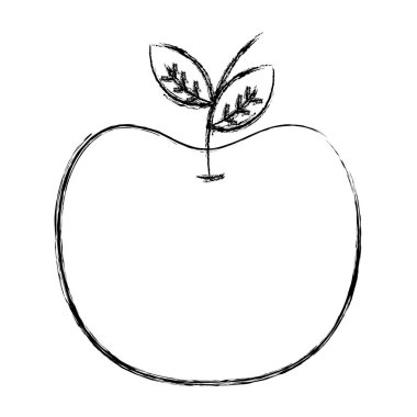 Grunge taze güzel elma meyve beslenme vektör çizim