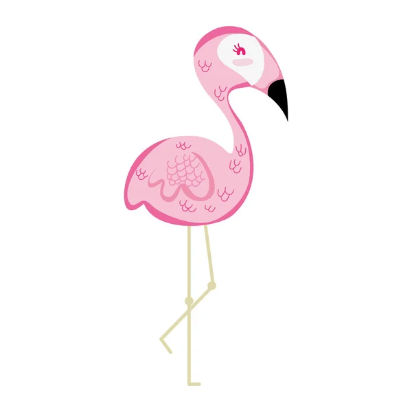 Exótico Flamenco Naturaleza Pájaro Animal Vector Ilustración — Vector de stock