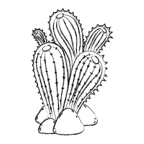 Planta Cactus Desierto Grunge Con Piedras Naturaleza Vector Ilustración — Vector de stock