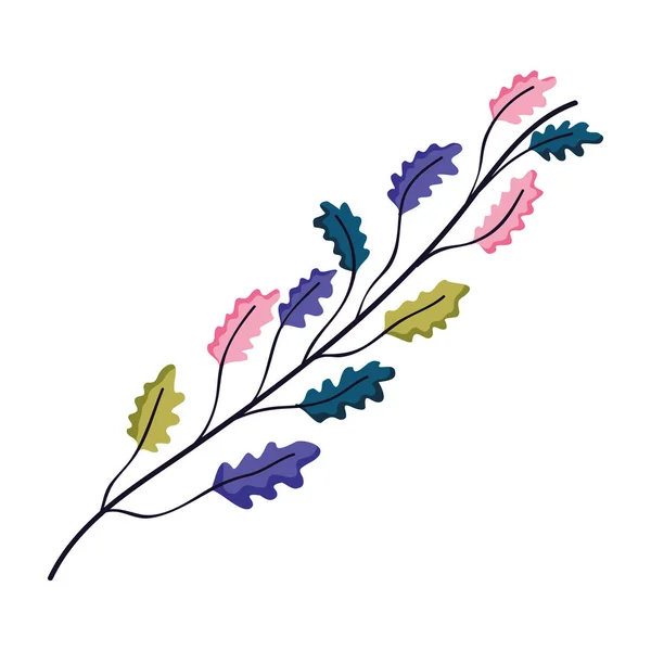 Mignon Exotiques Branches Feuilles Style Vectoriel Illustration — Image vectorielle