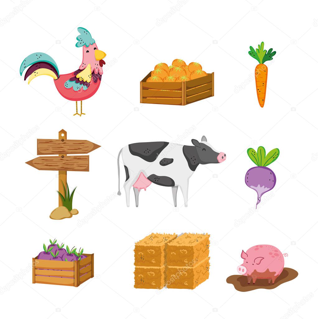 Set of farm icons collection vector illustration graphic design