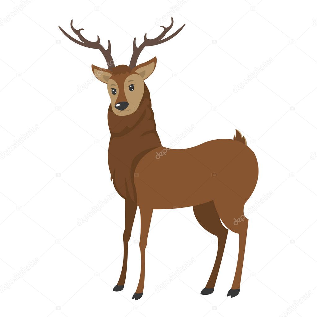 nature male deer wild animal vector illustration