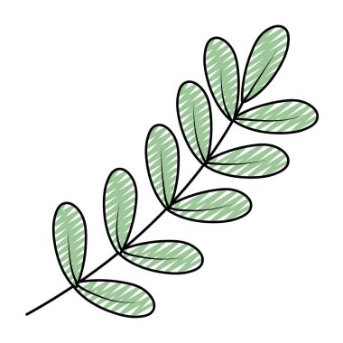 Doodle egzotik şube doğal bitki vektör çizim bırakır