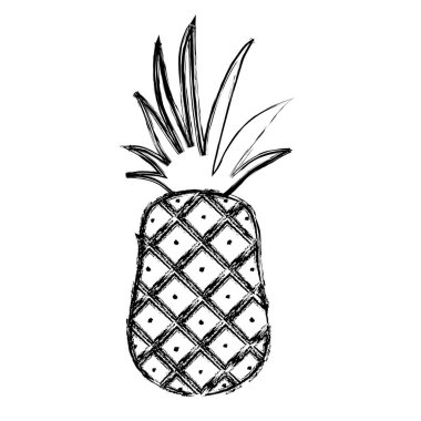 Grunge nefis ananas meyve organik beslenme vektör çizim