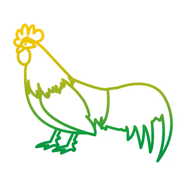 Línea Degradada Gallo Granja Animal Con Plumas Alas Vector Ilustración — Vector de stock