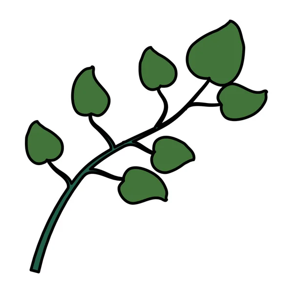 Farbe Natürliche Blätter Exotisch Zweig Design Vektor Illustration — Stockvektor
