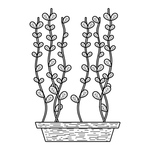 Linie Ökologie Natürliche Blätter Pflanze Innerhalb Blumentopf Vektor Illustration — Stockvektor