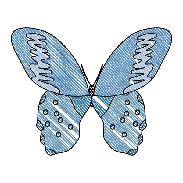 Doodle Belleza Mariposa Insecto Con Bonitas Alas Vector Ilustración — Vector de stock