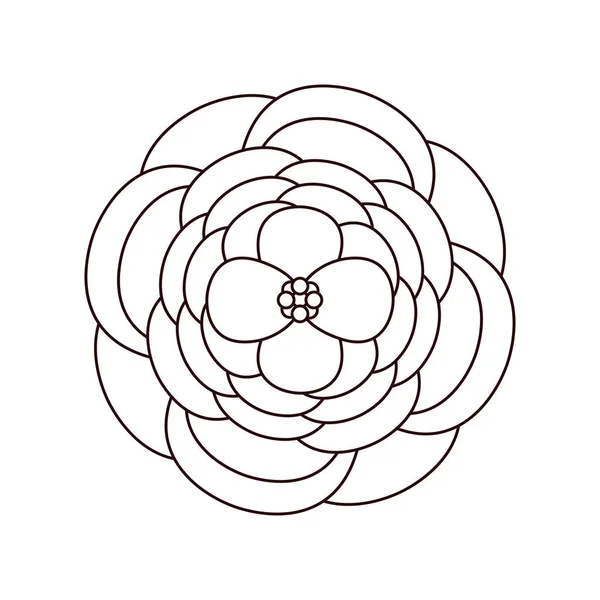 Linie Krásné Růže Přírodní Plátky Design Vektorové Ilustrace — Stockový vektor