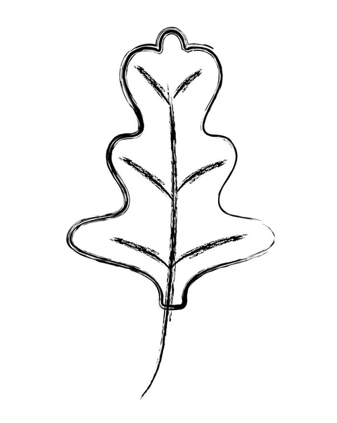 Grunge Rädisa Leaf Tropisk Natur Växt Vektorillustration — Stock vektor