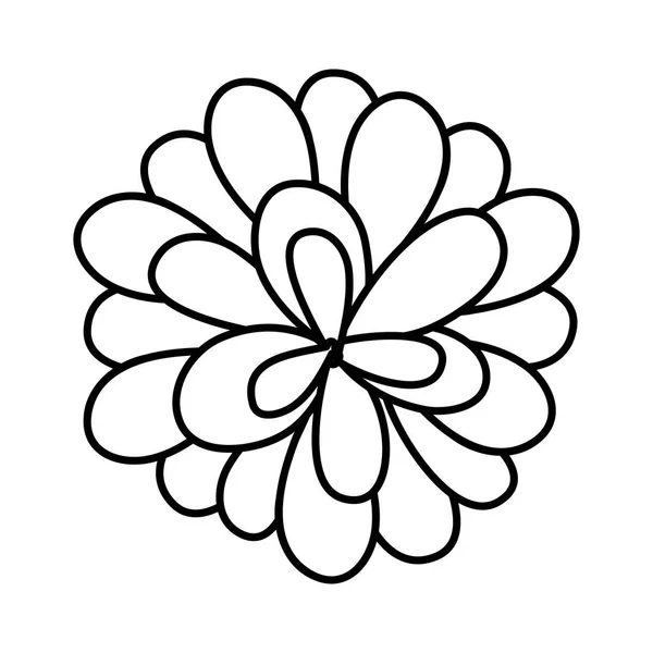 Line Exotických Krásy Květin Lístky Stylem Vektorové Ilustrace — Stockový vektor