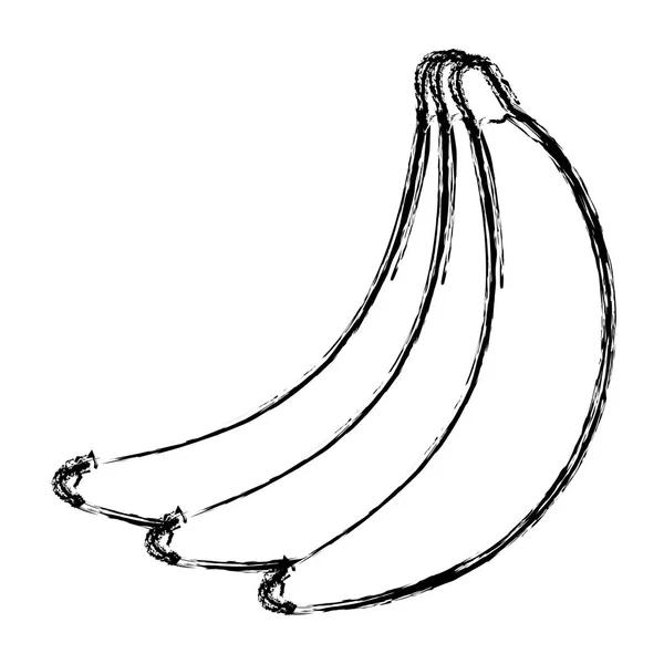 Гранж Органические Бананы Вкусные Органические Фрукты Векторная Иллюстрация — стоковый вектор